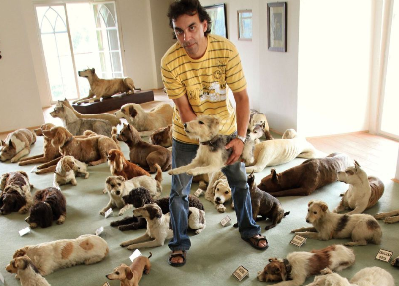 man with a lot of different dogs in a room 